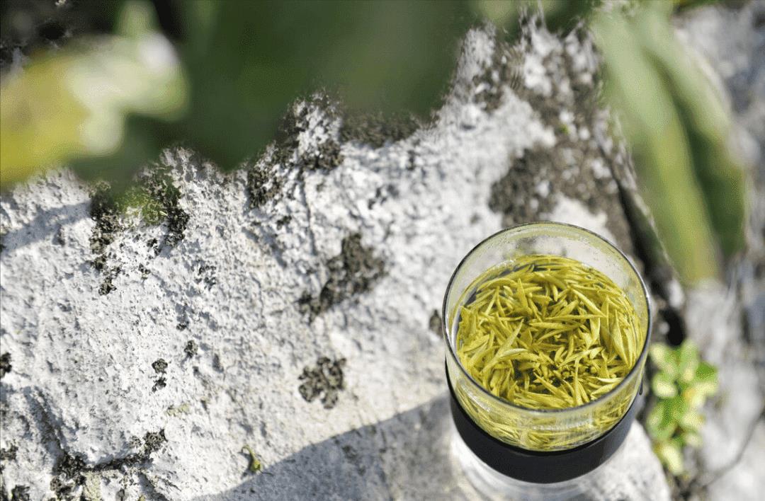 中国十大名贵绿茶(国内最顶级的10种绿茶)插图