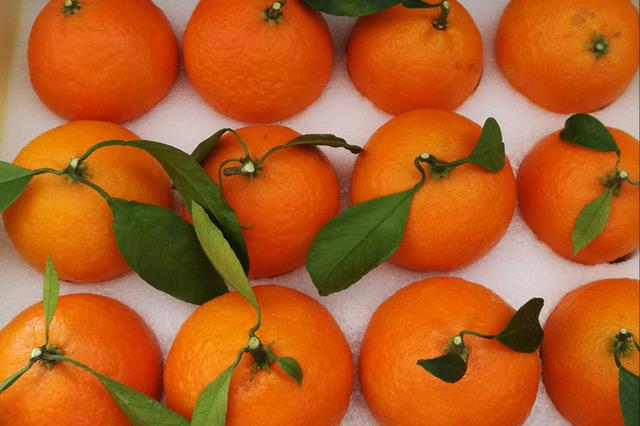 中国十大柑橘之乡(广西水果产量全国排名)插图3