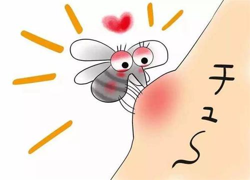 为什么蚊子喜欢在耳朵旁边飞(晚上蚊子为啥喜欢在耳边飞)插图3