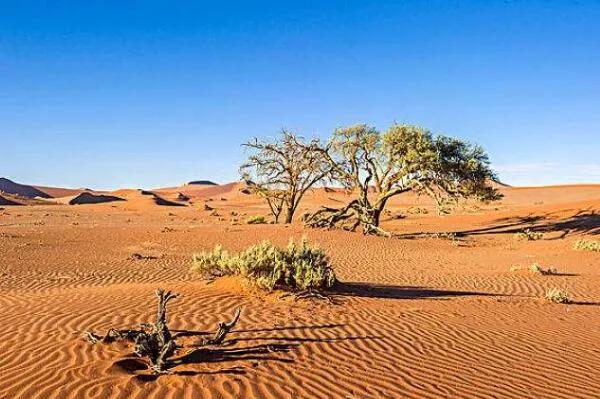 最早出现的沙漠排名前十，世界上十大最早的形成的沙漠(附2023年最新排行榜前十名单)