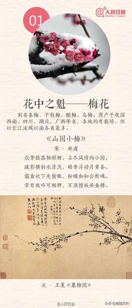 中国传统十大名花，花卉植物大全排名(附2023年最新排行榜前十名单)