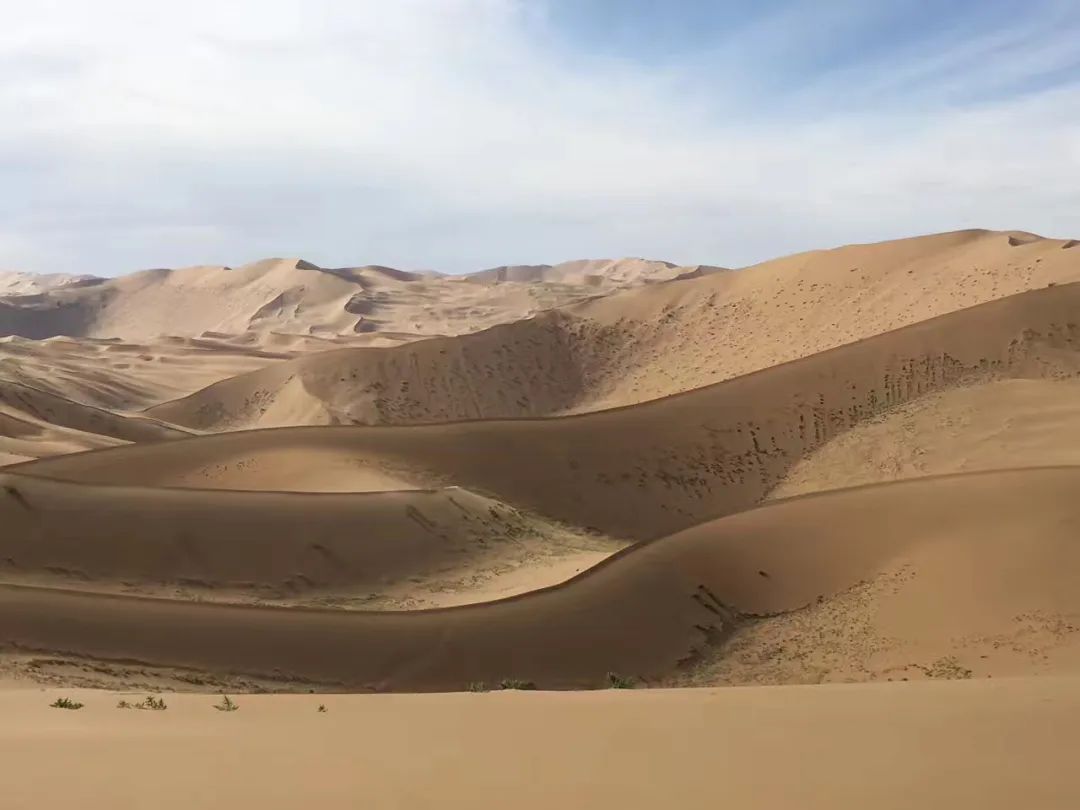 世界十大最迷人沙漠(越野人向往的10个沙漠)插图10