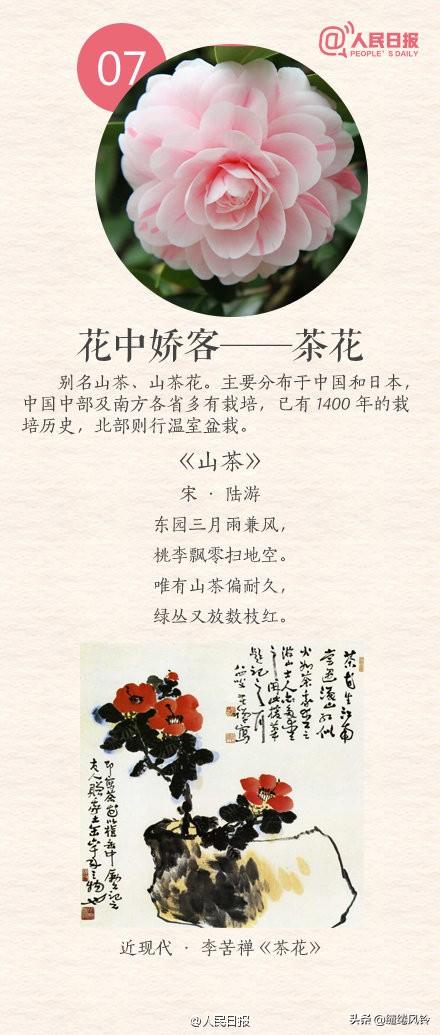 中国传统十大名花(花卉植物大全排名)插图6