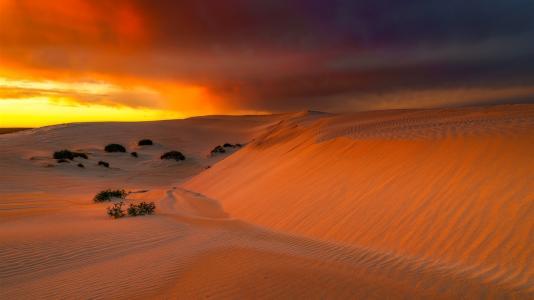 世界十大沙漠之最(世界上最热的沙漠)插图3