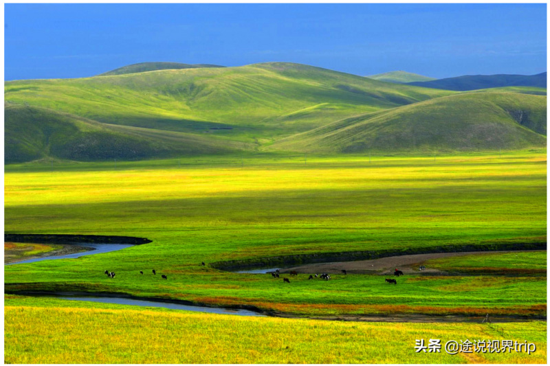 中国十大草原排名(盘点国内最美的10个草原)插图20