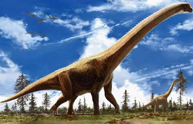 世界上最大的恐龙(最大的恐龙排行榜前十名)插图4