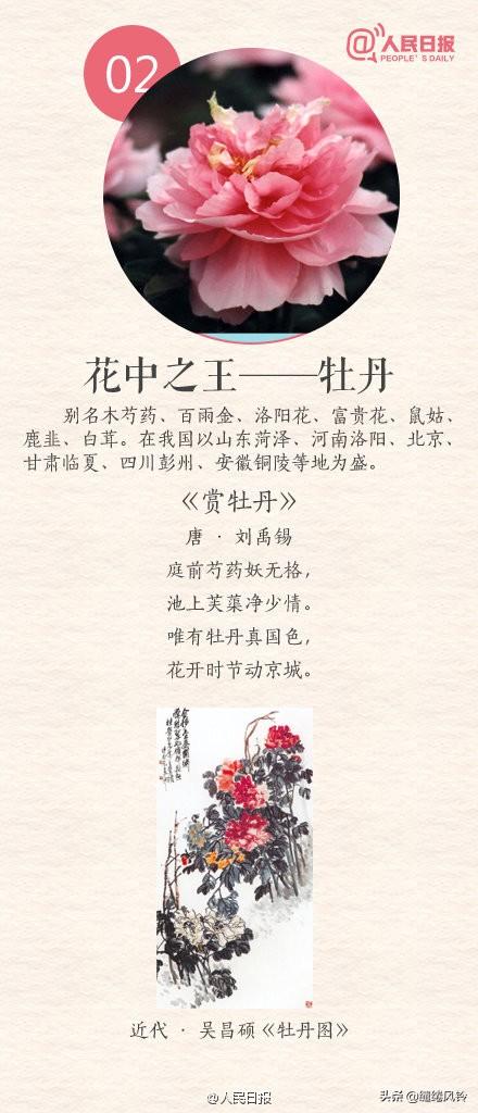 中国传统十大名花(花卉植物大全排名)插图1