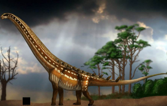 世界上最大的恐龙(最大的恐龙排行榜前十名)插图1