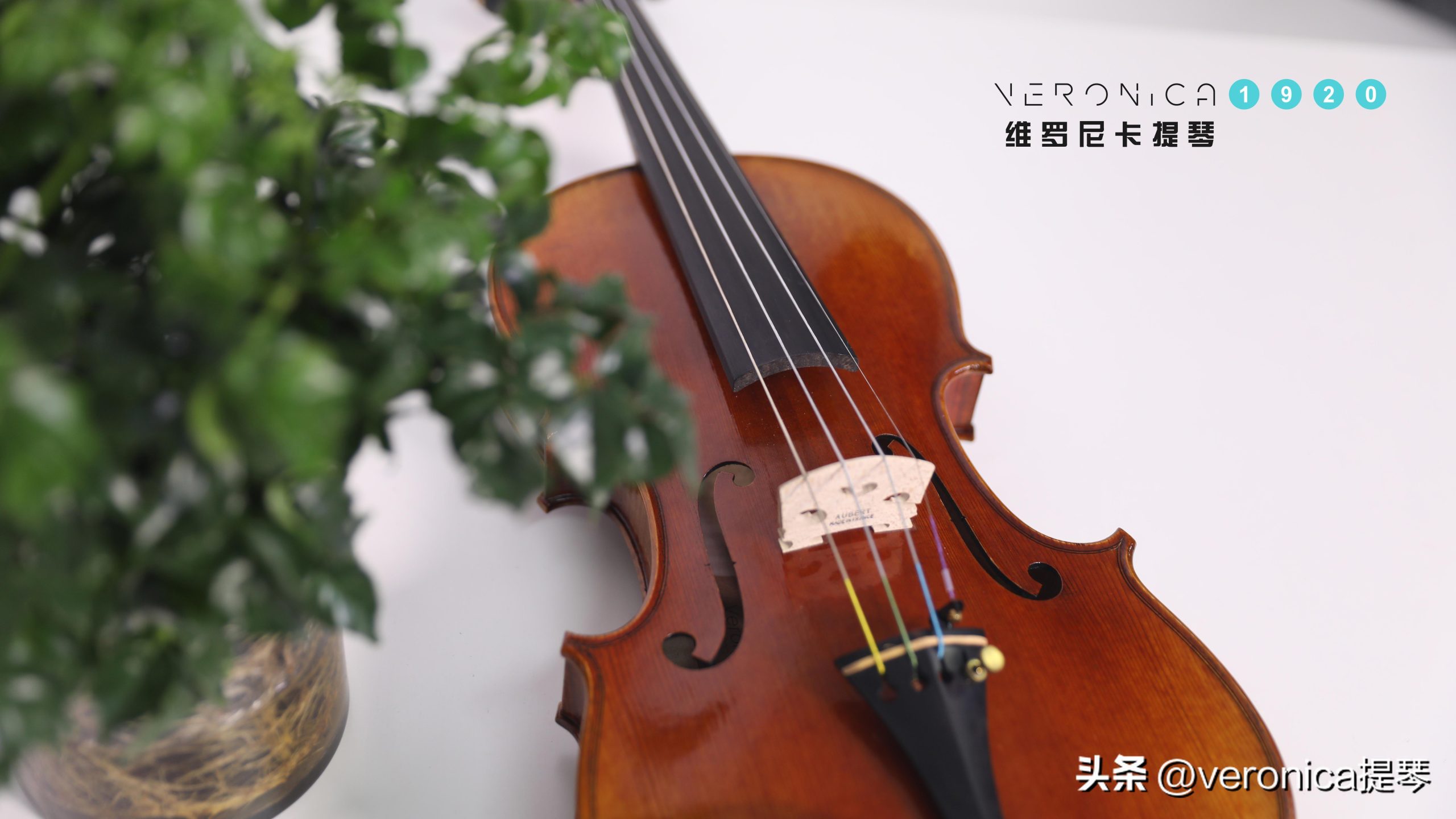 小提琴十大名曲(世界著名的十大小提琴名曲)插图