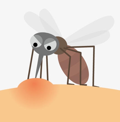 为什么蚊子喜欢在耳朵旁边飞(晚上蚊子为啥喜欢在耳边飞)插图4