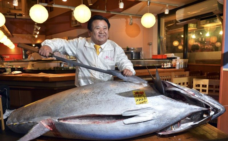 最贵的鱼排行榜前十名 世界最昂贵十大名鱼)插图