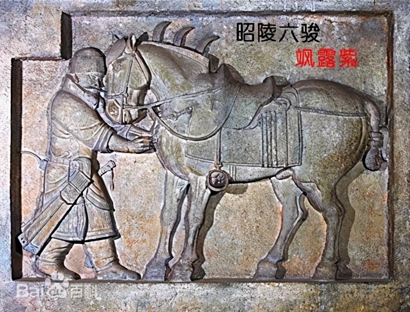 中国十大品种马排行榜(国内公认最好的十大名马)插图9