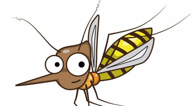 为什么蚊子喜欢在耳朵旁边飞(晚上蚊子为啥喜欢在耳边飞)插图2
