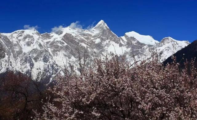 西藏最美雪山排名(西藏最神奇雪山)插图13