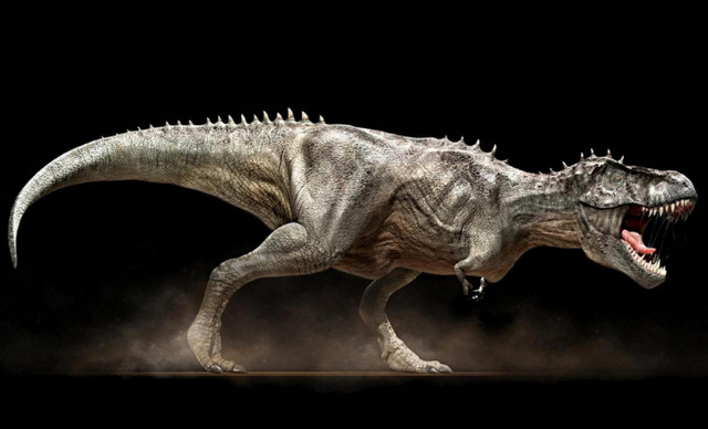 世界上最大的恐龙(最大的恐龙排行榜前十名)插图6