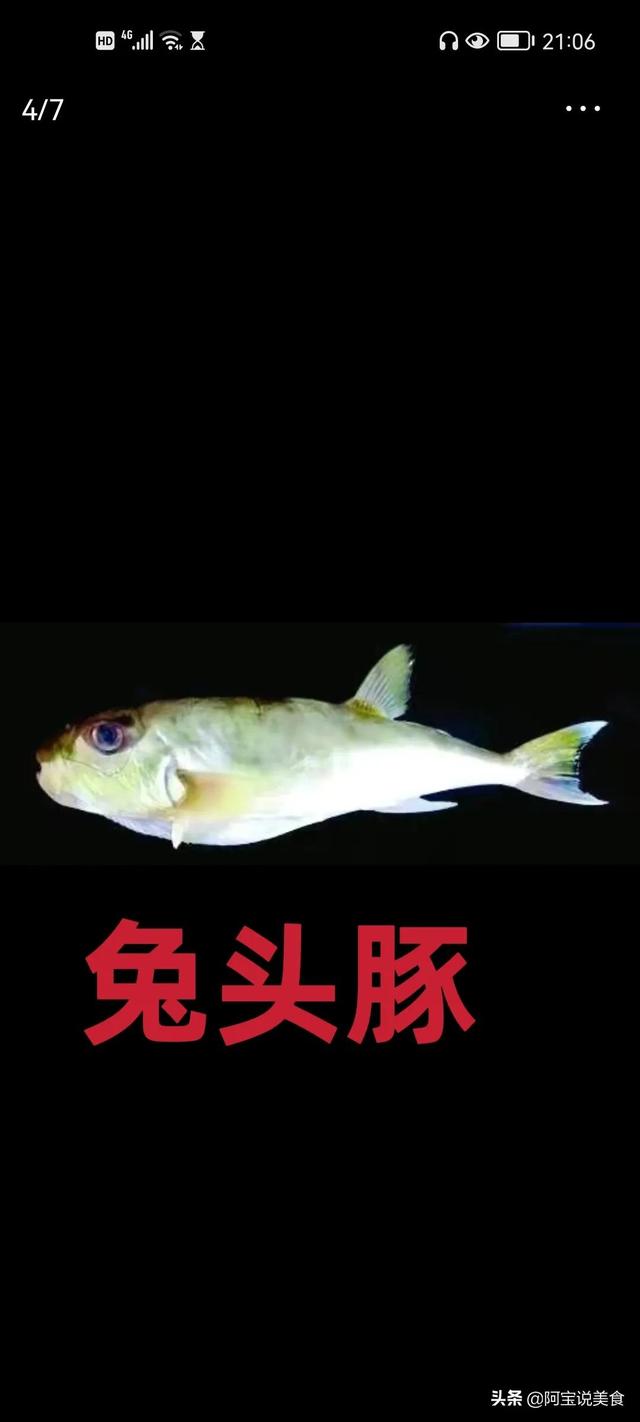 中国十大最脏鱼，十大不愁销路的鱼(附2023年最新排行榜前十名单)