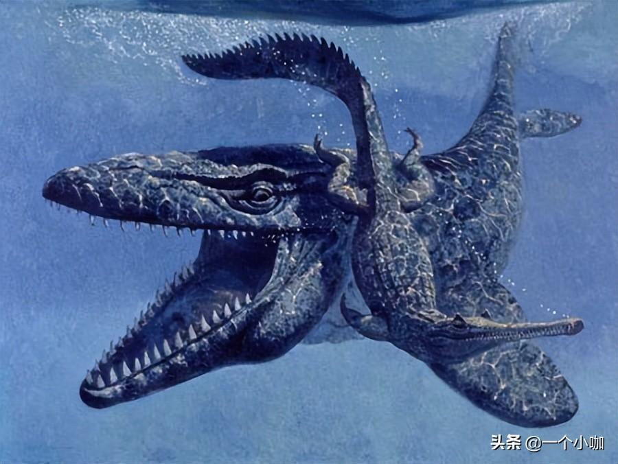 宇宙十大恐怖生物(十种比恐龙更加可怕的远古生物)插图7