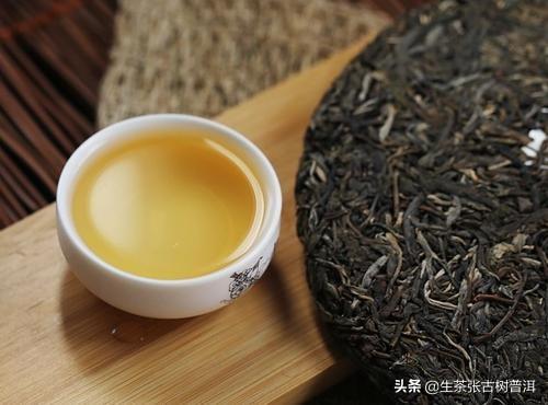 云南普洱茶十大名牌，云南十大最古老的普洱茶树排名(附2023年最新排行榜前十名单)