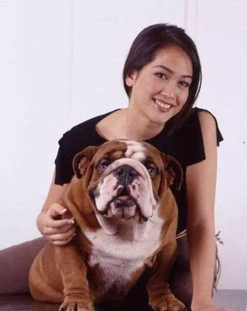 世界名犬品种大全(中国最常见的45种宠物名犬)插图29