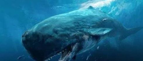 远古传说十大巨鲨排行(世界上十大巨鲨)插图8