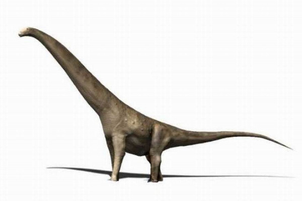 世界上最大的恐龙(最大的恐龙排行榜前十名)插图8