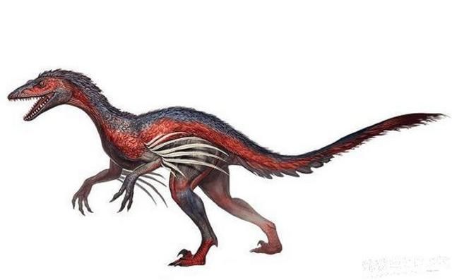侏罗纪十大最强恐龙排名(十大最厉害的恐龙排名)插图2