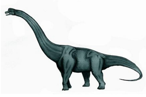 世界上最大的恐龙(最大的恐龙排行榜前十名)插图2