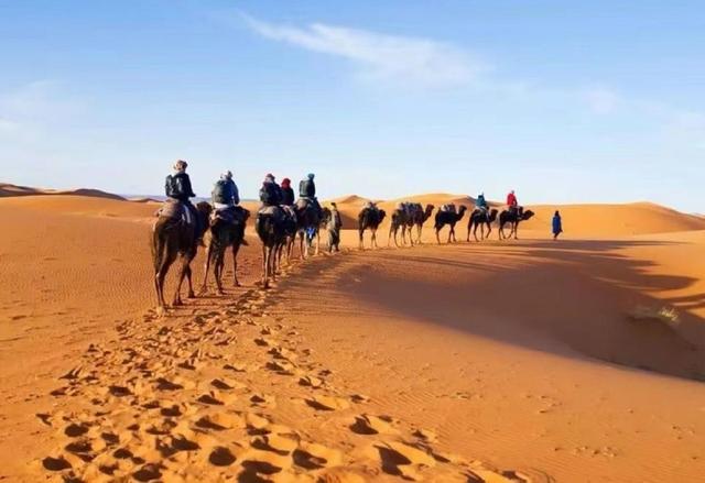 世界上最大的沙漠是什么沙漠(巴丹吉林沙漠)插图4