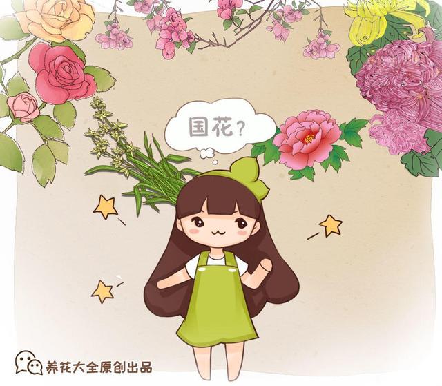 中国国花是什么，中国国花牡丹花(附2023年最新排行榜前十名单)