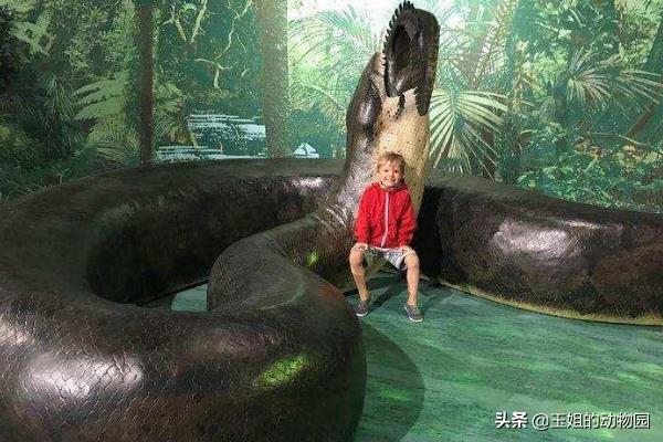 世界十大最大的蛇(四川50米长巨蛇之谜)插图