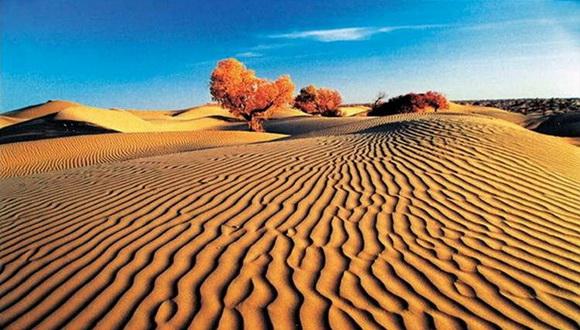 世界十大沙漠之最(世界上最热的沙漠)插图9