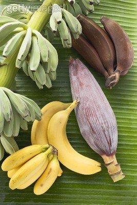 全球十大香蕉生产国，香蕉生产国排名(附2023年最新排行榜前十名单)