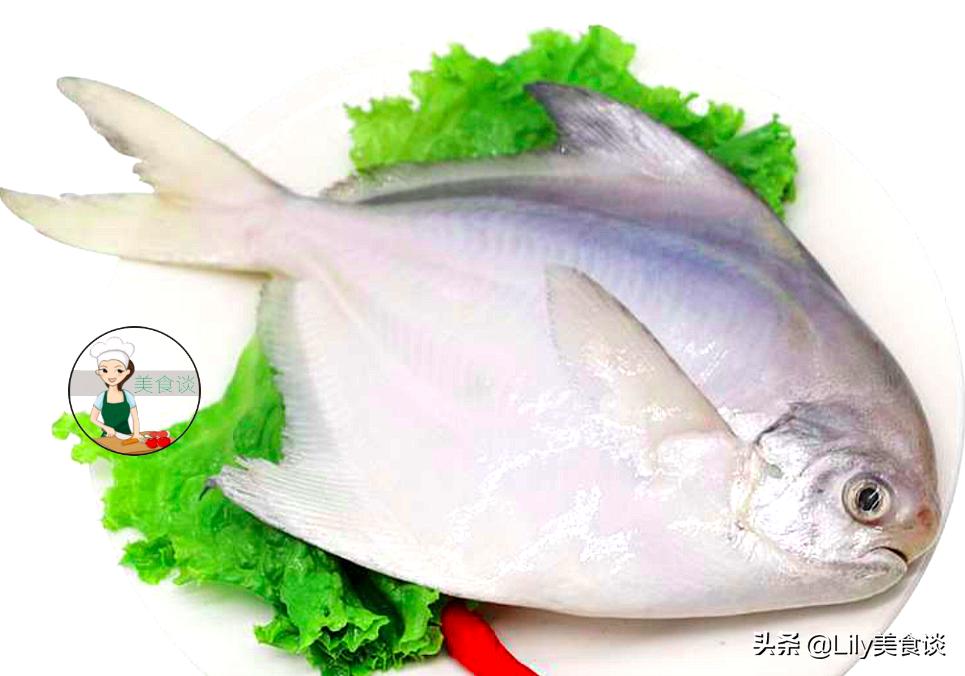 吃什么鱼最干净安全(中国最好吃的鱼排行榜)插图6