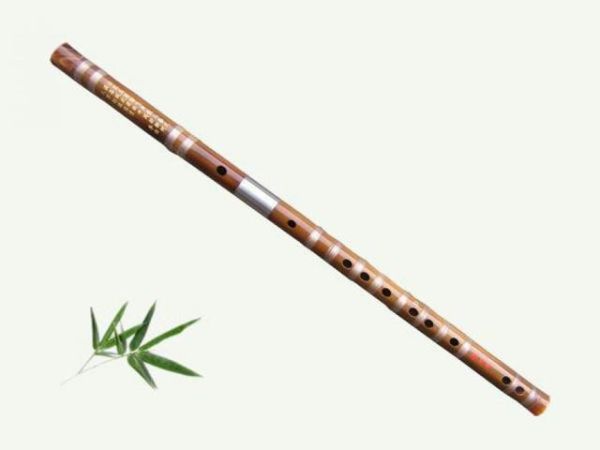 中国古代十大乐器(中国古代最具代表的十大传统乐器))插图9
