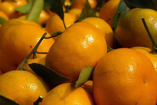 中国十大柑橘之乡(广西水果产量全国排名)插图6