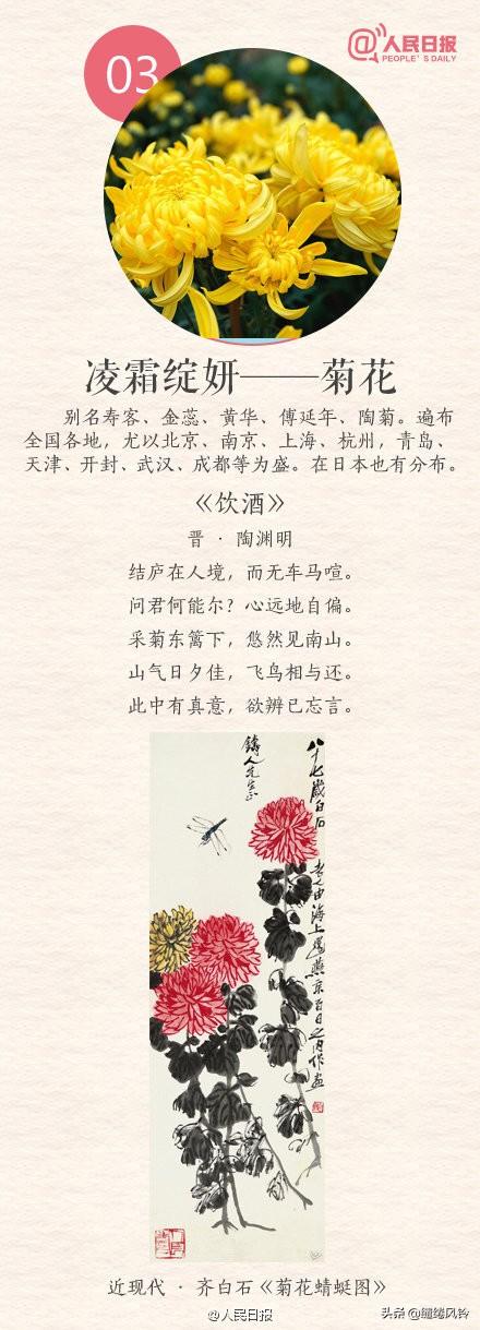 中国传统十大名花(花卉植物大全排名)插图2