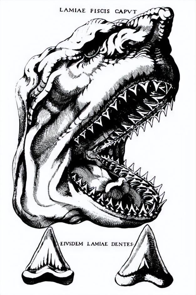史前十大巨兽排名(比恐龙还要残暴的10种远古生物)插图9