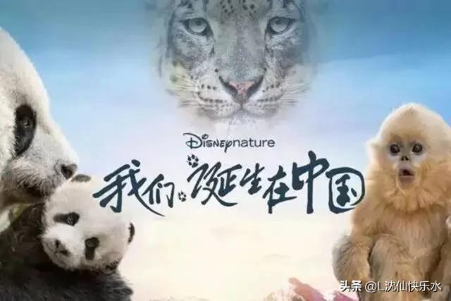 中国十部教育孩子的电影(十部教科书级别的国产儿童电影)插图