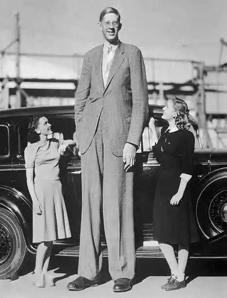 世界上最高的人到底有多少米(全球十大巨人排行榜)插图3
