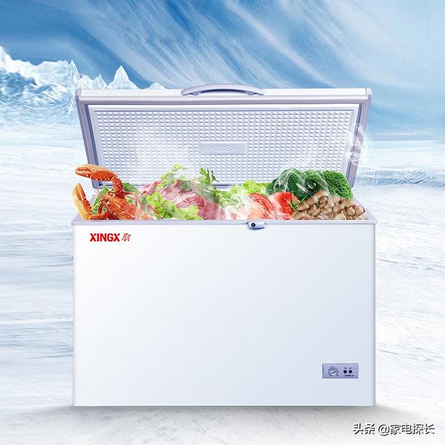 中国冷柜品牌十大排名(国产冰柜十大排名)插图2