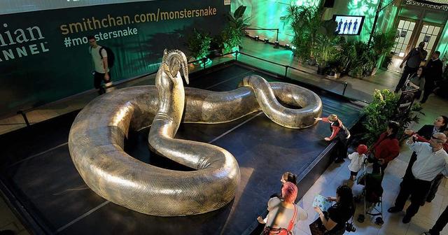 世界最重的毒蛇十大排名(世界最毒蛇视频大全)插图