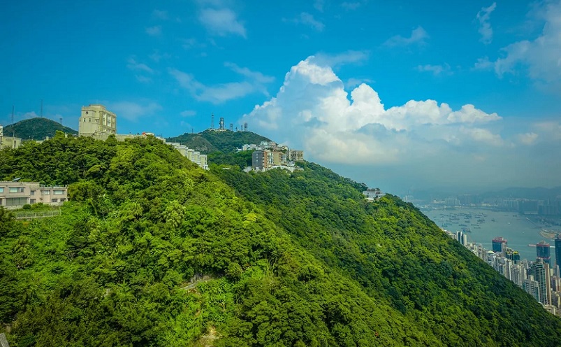 香港十大著名景点(香港必去的景点排行榜前十名)插图14