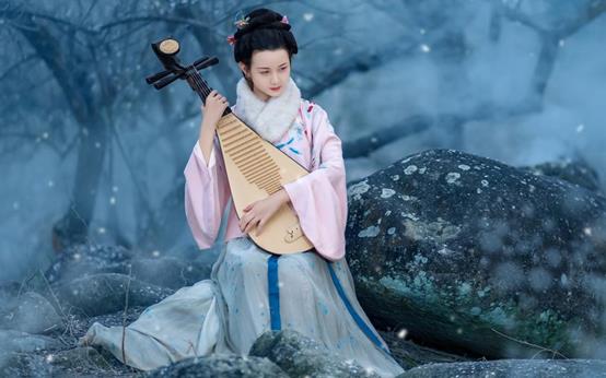 中国民族乐器(经典民族乐器图片和名称)插图9
