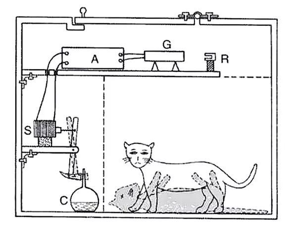 薛定谔的猫是什么定律(十大恐怖物理定律)插图8