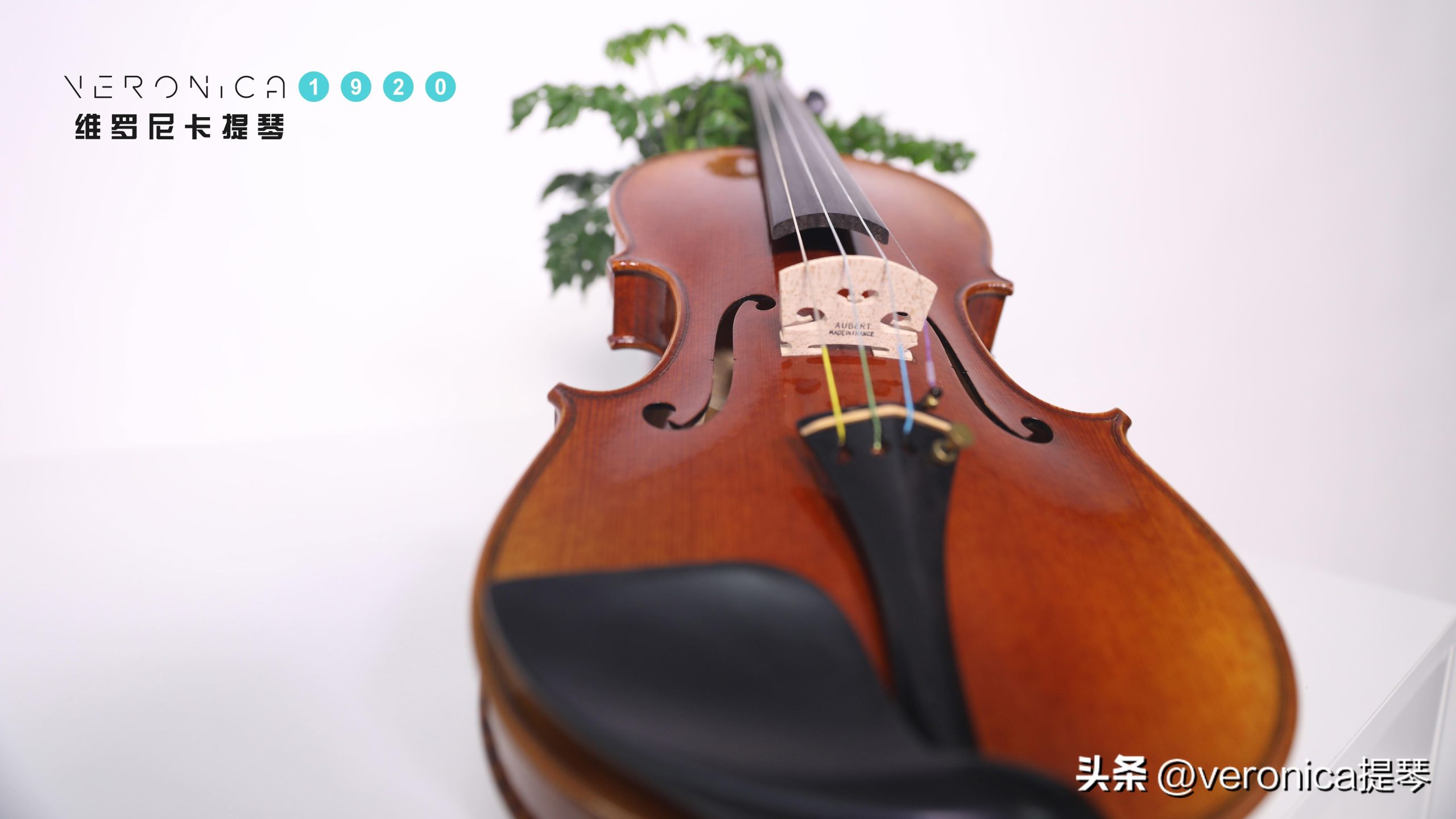 小提琴十大名曲(世界著名的十大小提琴名曲)插图2