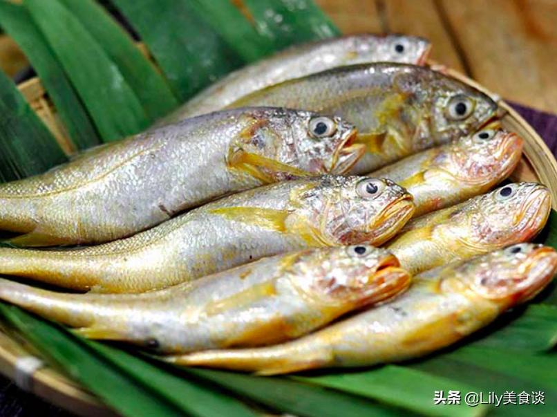吃什么鱼最干净安全(中国最好吃的鱼排行榜)插图8