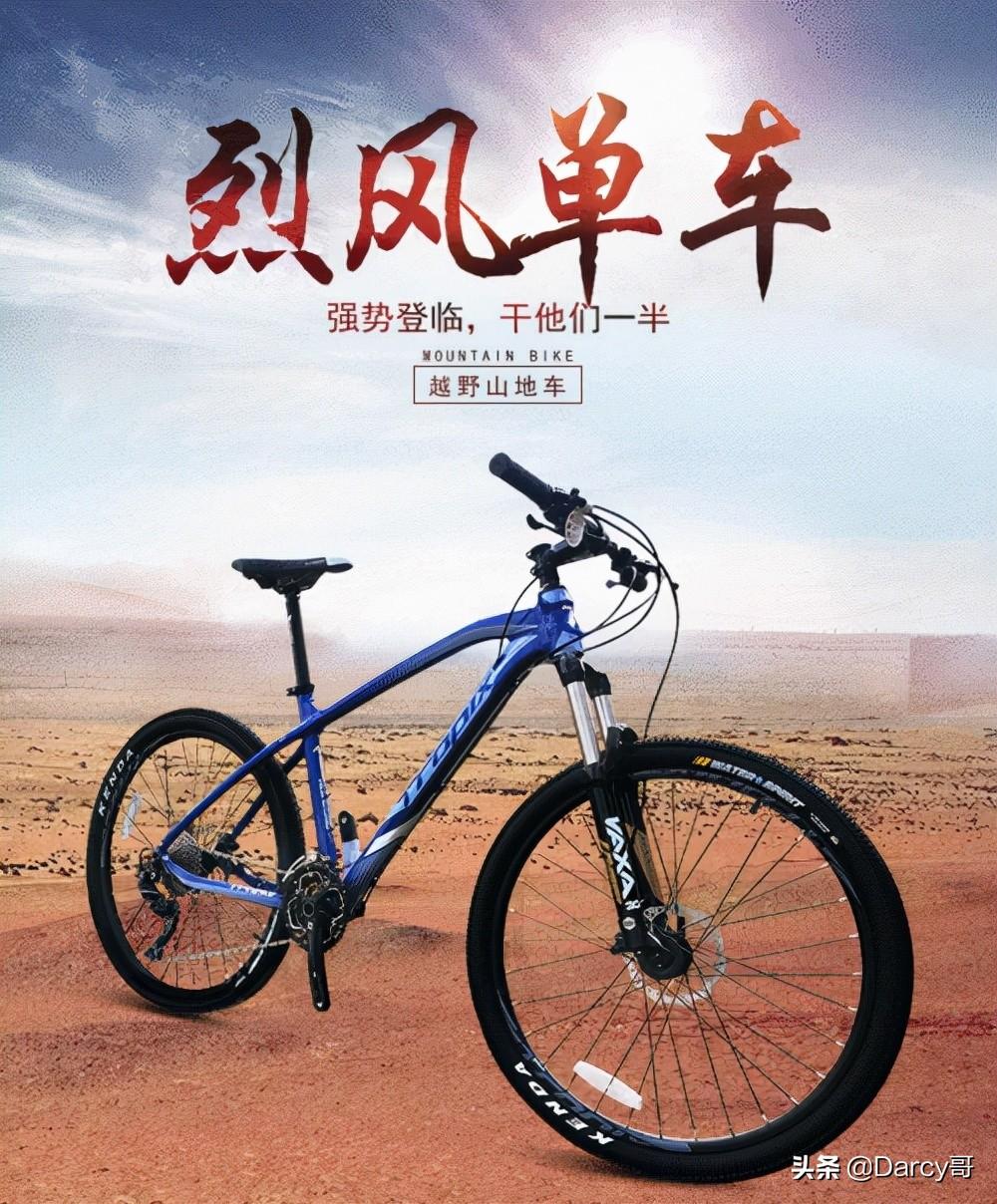 中国自行车十大名牌(盘点国产户外运动自行车品牌)插图12