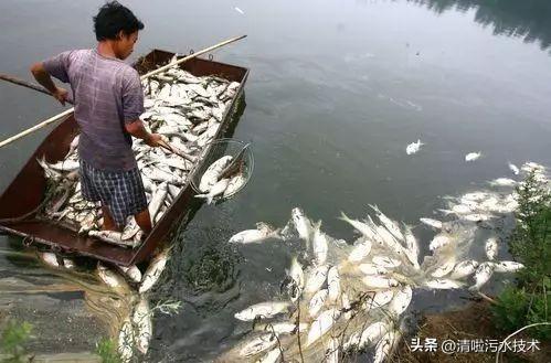 中国十大水污染事件(十大水污染事件)插图