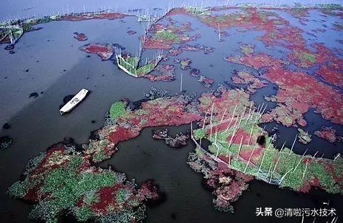 中国十大水污染事件(十大水污染事件)插图3