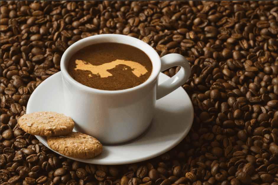 世界上最贵的十大咖啡，2023年10种世界上最贵的咖啡(附2023年最新排行榜前十名单)